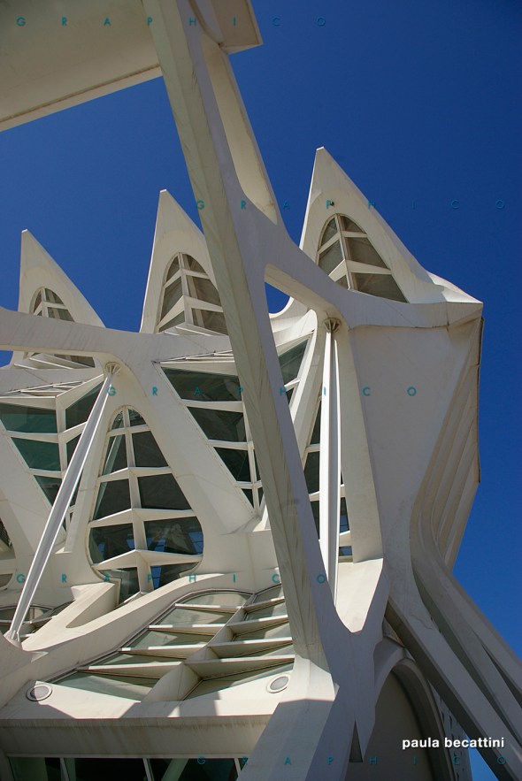 Valencia: particolare struttura