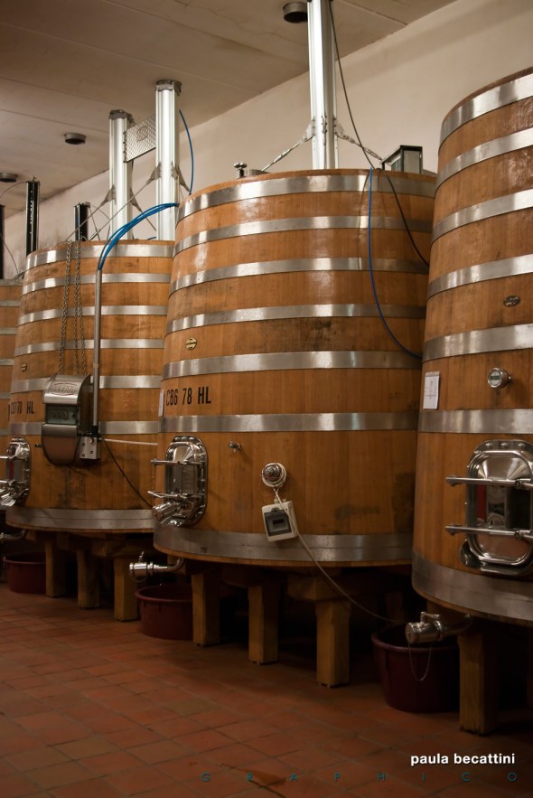La cantina: i tini La cantina: i tini