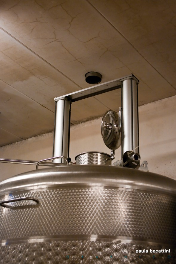La cantina: vasca di fermentazione in acciaio (particolare) La cantina: vasca di fermentazione in acciaio (particolare)