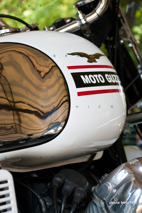 Il mio serbatoio V7 Special - Moto Guzzi