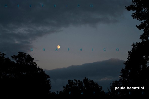 Al chiaro di luna (Hippolytushoef, Olanda del Nord)