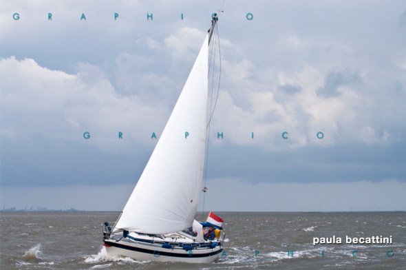 Olanda: mare del nord