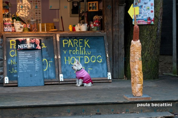 Hot Dog (cane caldo)