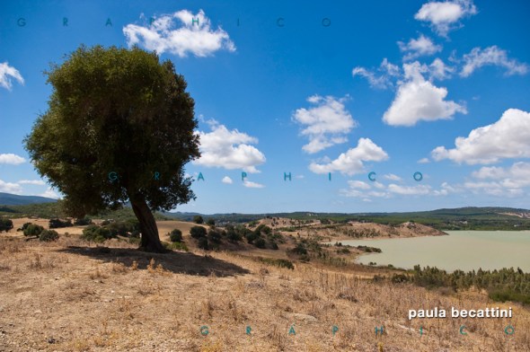Tunisia del nord, panorama