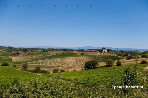 Campagna Toscana nei pressi di Montepulciano