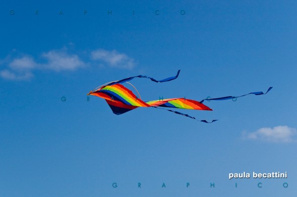 Aquilone in volo (Tunisia) Aquilone in volo (Tunisia)