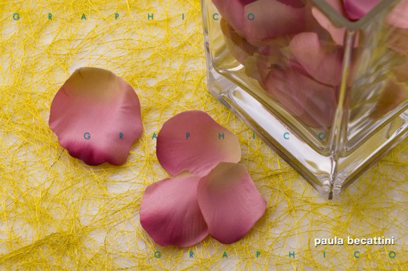 Petali di seta Petali di seta