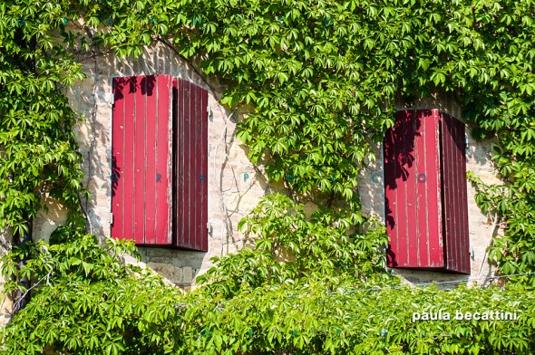 Finestre: occhi di gatto...